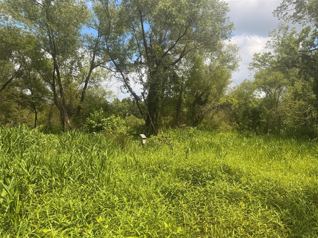 5767 Farm to Market Rd 2339, Murchison, TX 75778