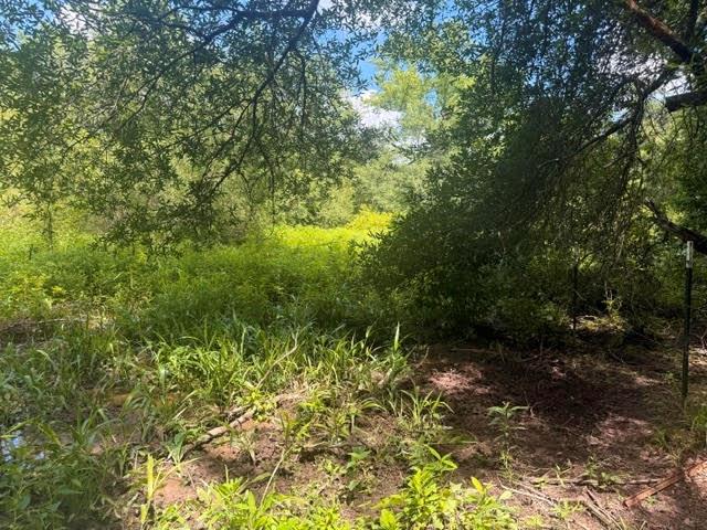 5767 Farm to Market Rd 2339, Murchison, TX 75778