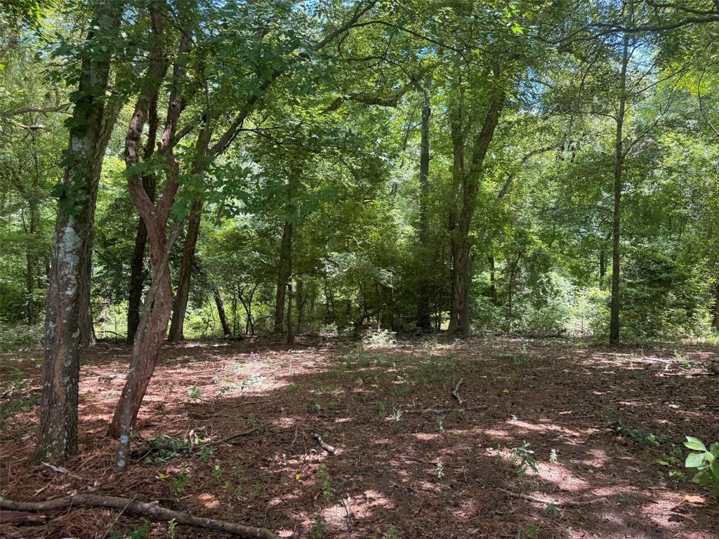 5767 Farm to Market Rd 2339, Murchison, TX 75778