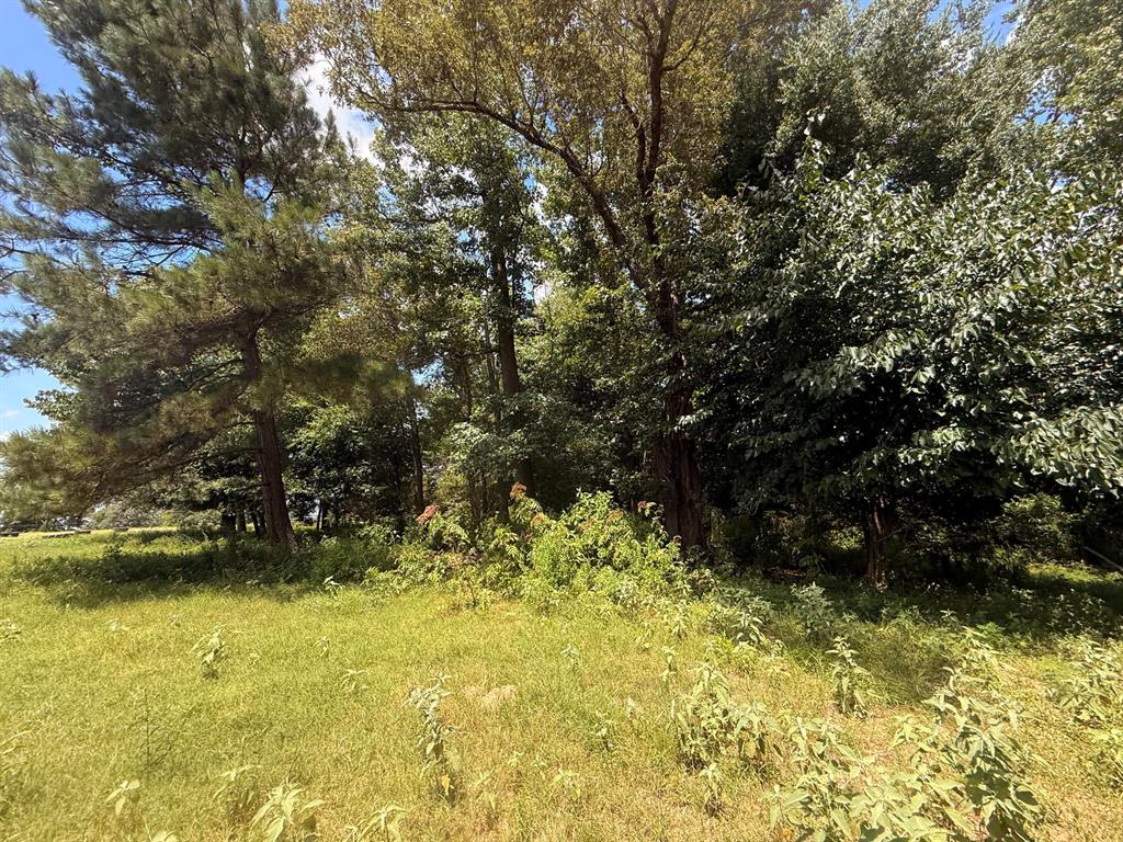 5767 Farm to Market Rd 2339, Murchison, TX 75778