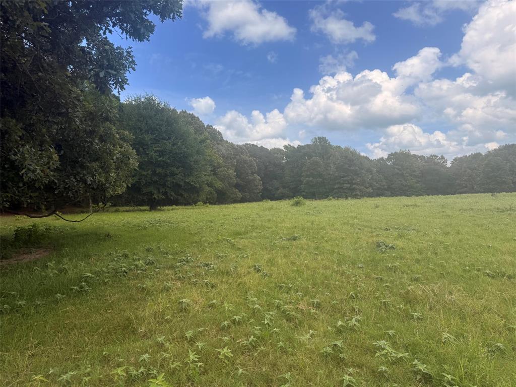 5767 Farm to Market Rd 2339, Murchison, TX 75778