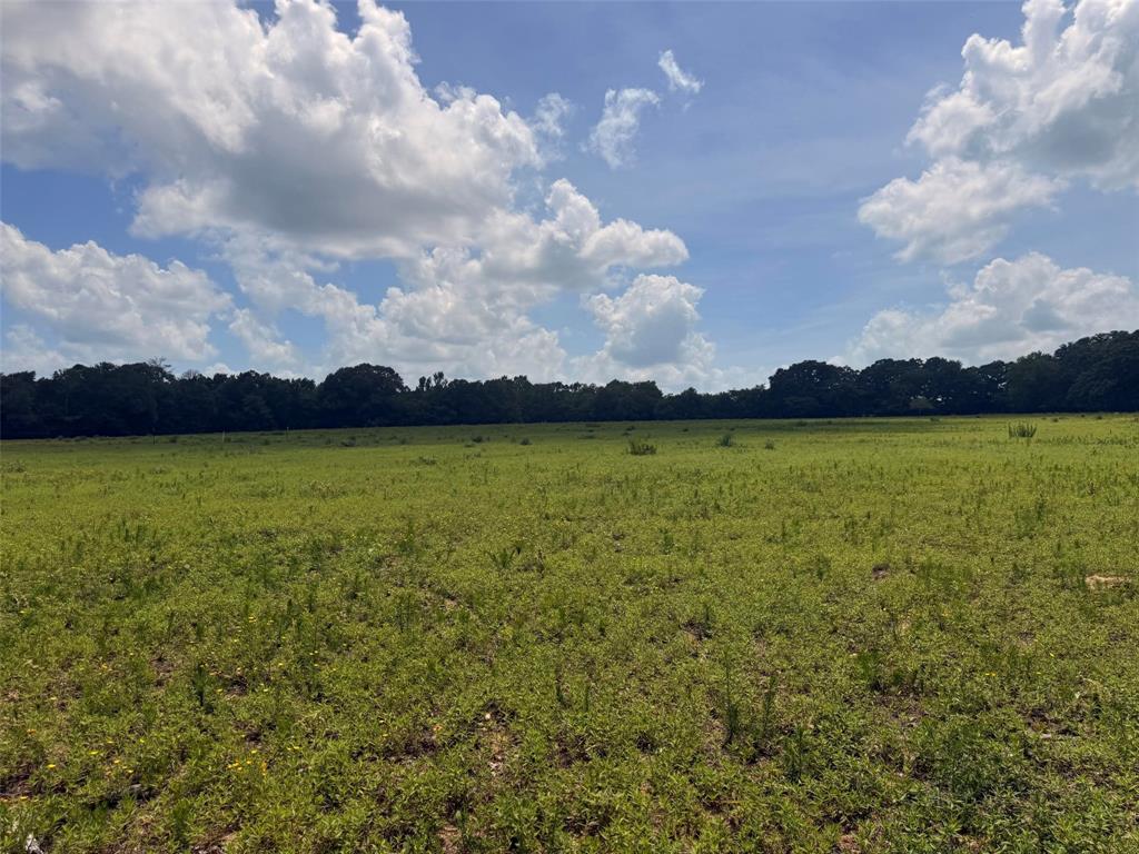 5767 Farm to Market Rd 2339, Murchison, TX 75778