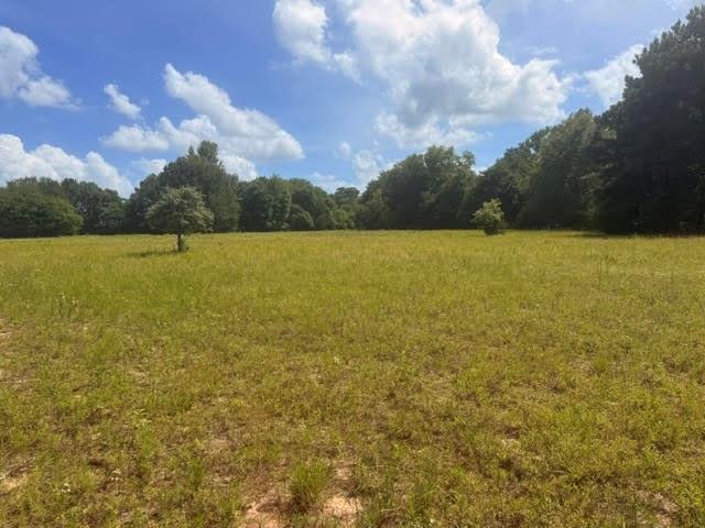 5767 Farm to Market Rd 2339, Murchison, TX 75778