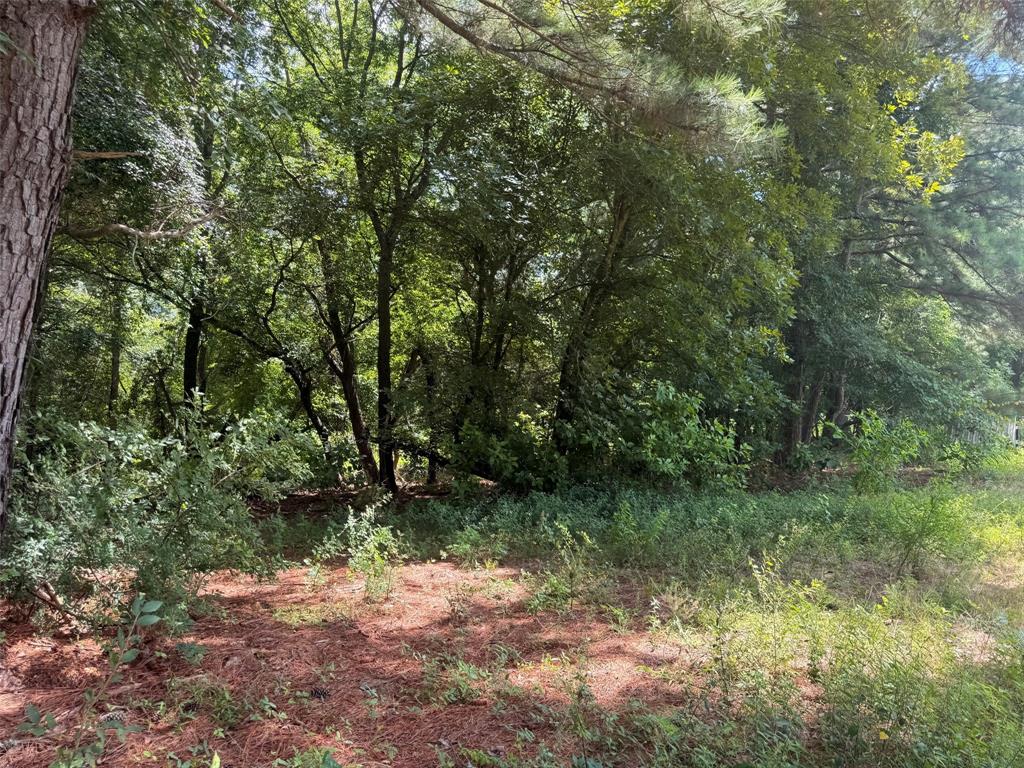 5767 Farm to Market Rd 2339, Murchison, TX 75778