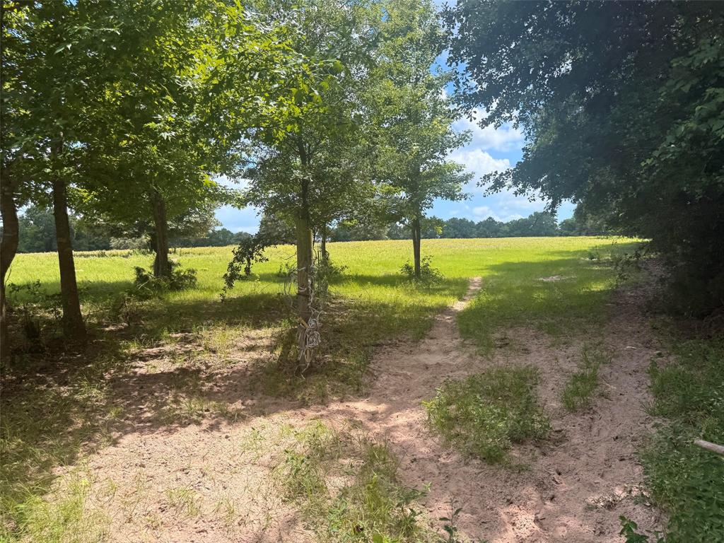 5767 Farm to Market Rd 2339, Murchison, TX 75778