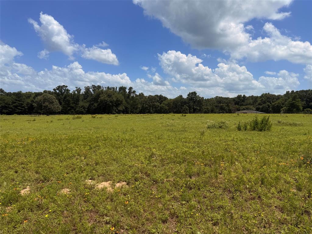 5767 Farm to Market Rd 2339, Murchison, TX 75778
