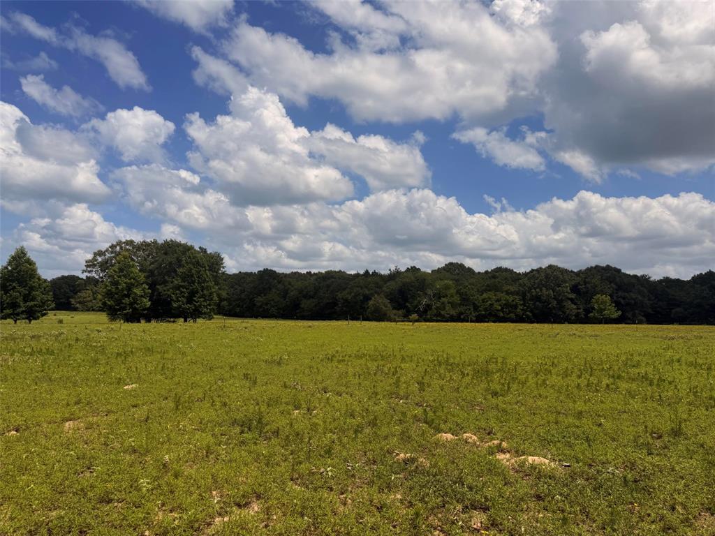 5767 Farm to Market Rd 2339, Murchison, TX 75778