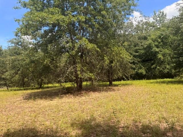 5767 Farm to Market Rd 2339, Murchison, TX 75778