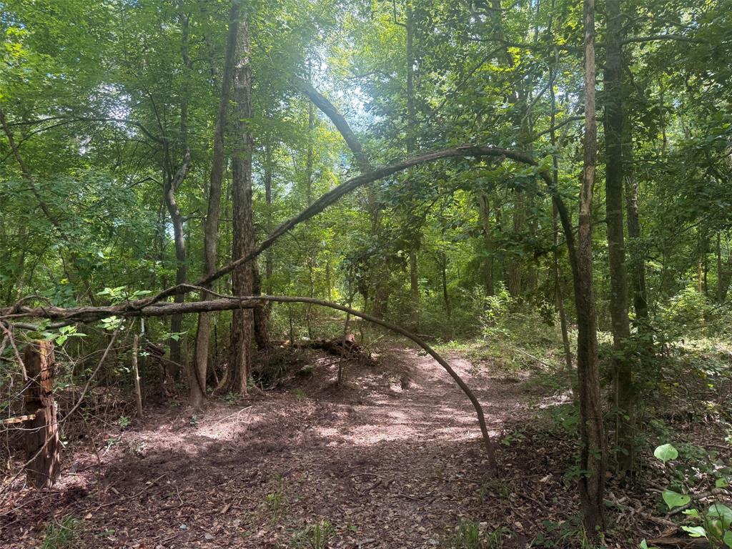 5767 Farm to Market Rd 2339, Murchison, TX 75778