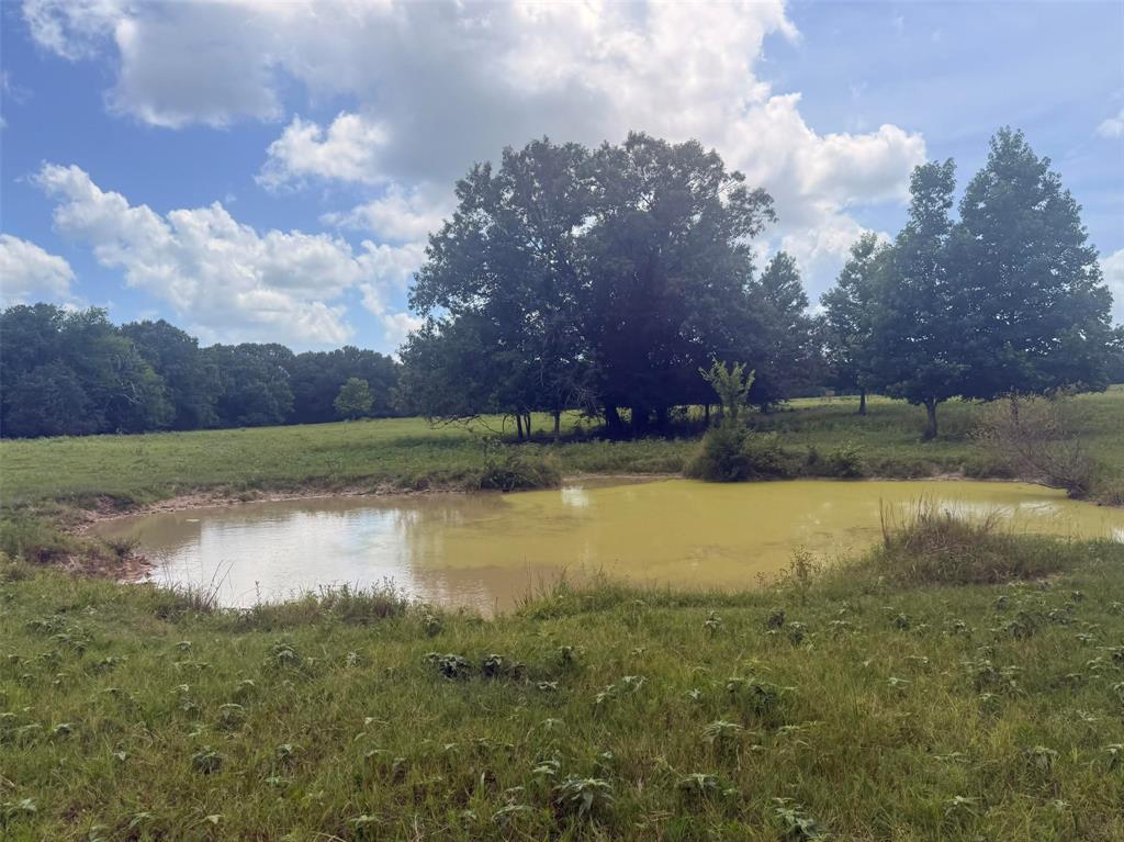5767 Farm to Market Rd 2339, Murchison, TX 75778