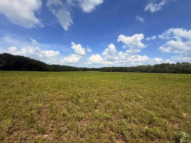 5767 Farm to Market Rd 2339, Murchison, TX 75778
