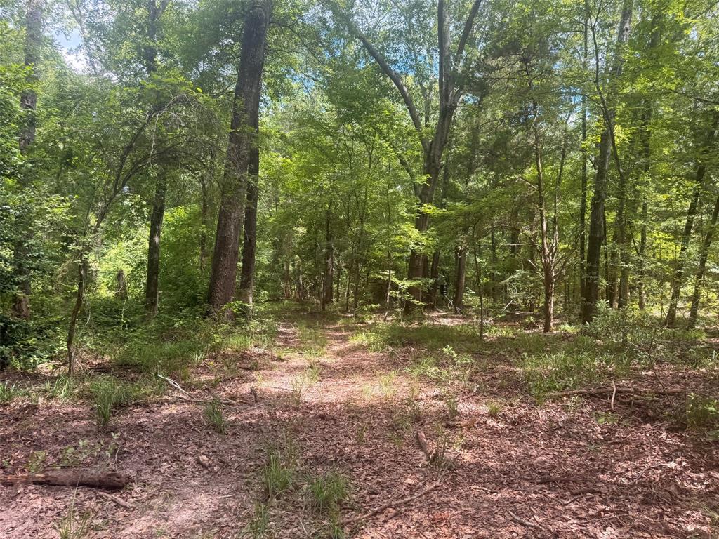 5767 Farm to Market Rd 2339, Murchison, TX 75778