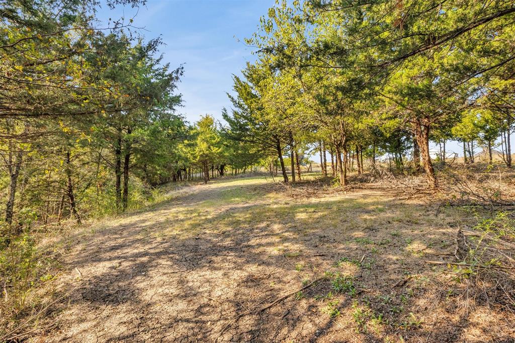 9880 County Road 466, Princeton, TX 75407