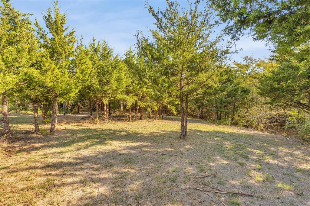 9880 County Road 466, Princeton, TX 75407