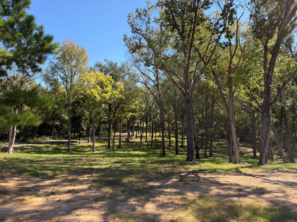 22080 County Road 4117, Frankston, TX 75763