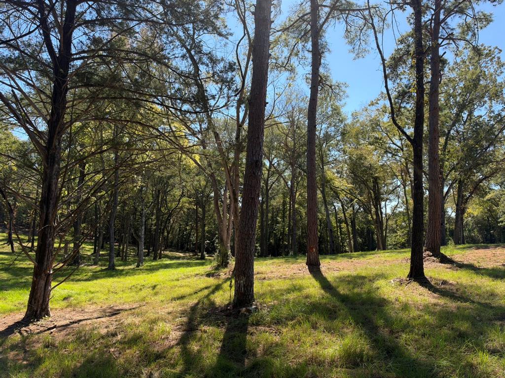 22080 County Road 4117, Frankston, TX 75763