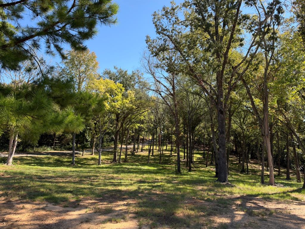 22080 County Road 4117, Frankston, TX 75763