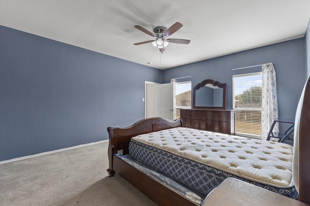 Room featuring neutral carpeting, dual windows, and a ceiling fan with integrated lighting