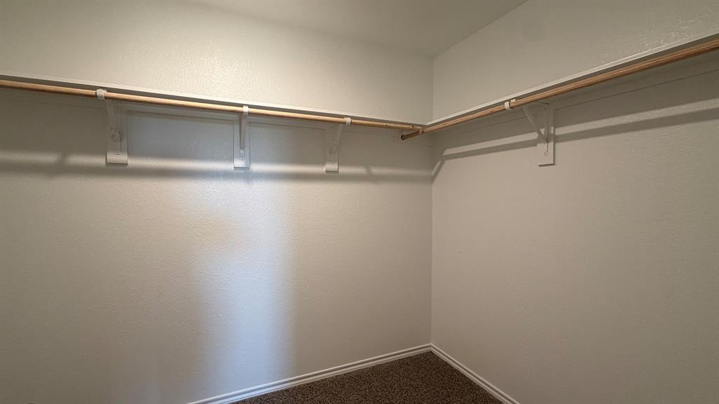 Walk-in closet featuring light-colored walls, wood-finish shelving, and carpeting