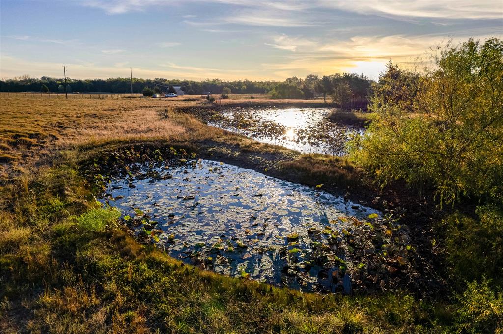 Expansive acreage featuring natural ponds and mature trees