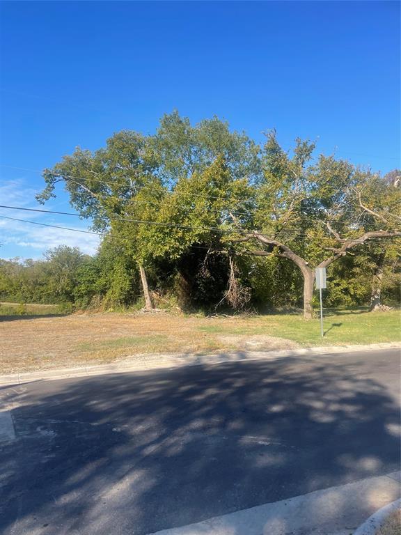 Vacant lot featuring cleared terrain, established mature trees, and direct street access