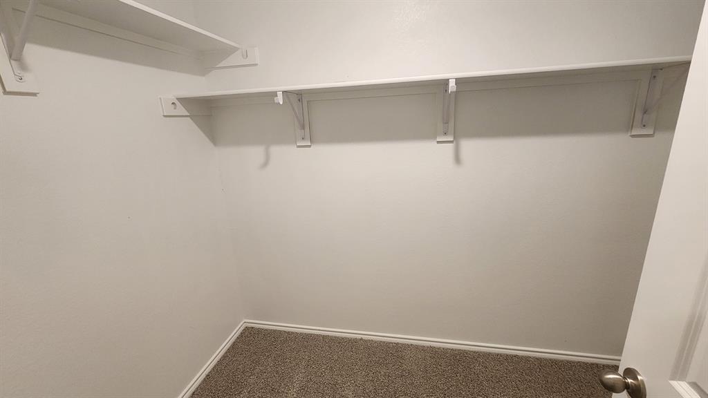 Built-in shelving and hanging rods over neutral carpeting
