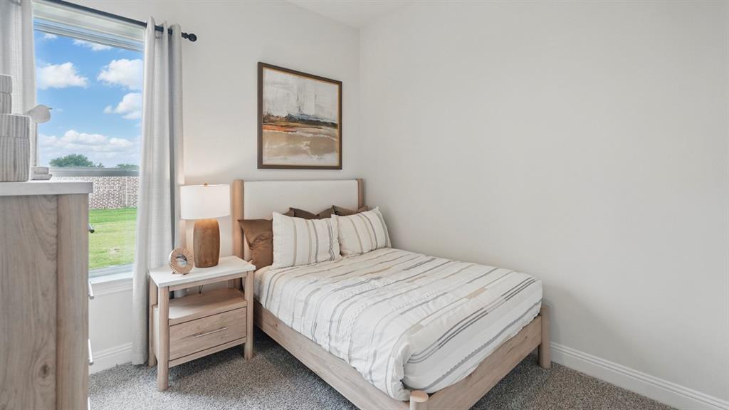 Neutral wall finishes, plush carpeting, and a tall window providing natural light