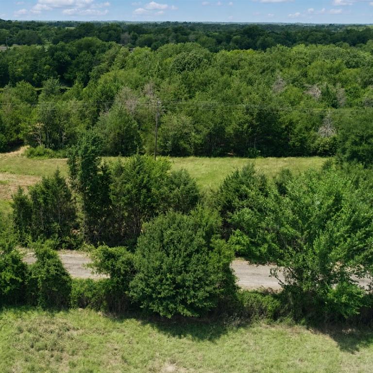 Expansive acreage featuring mature trees, dense wooded areas, cleared grass fields, and an unpaved access path