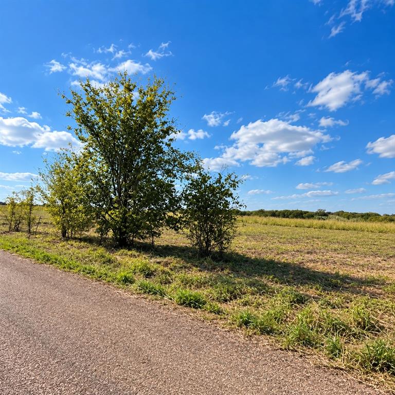 Open acreage featuring native grasses, mature trees, and paved road access