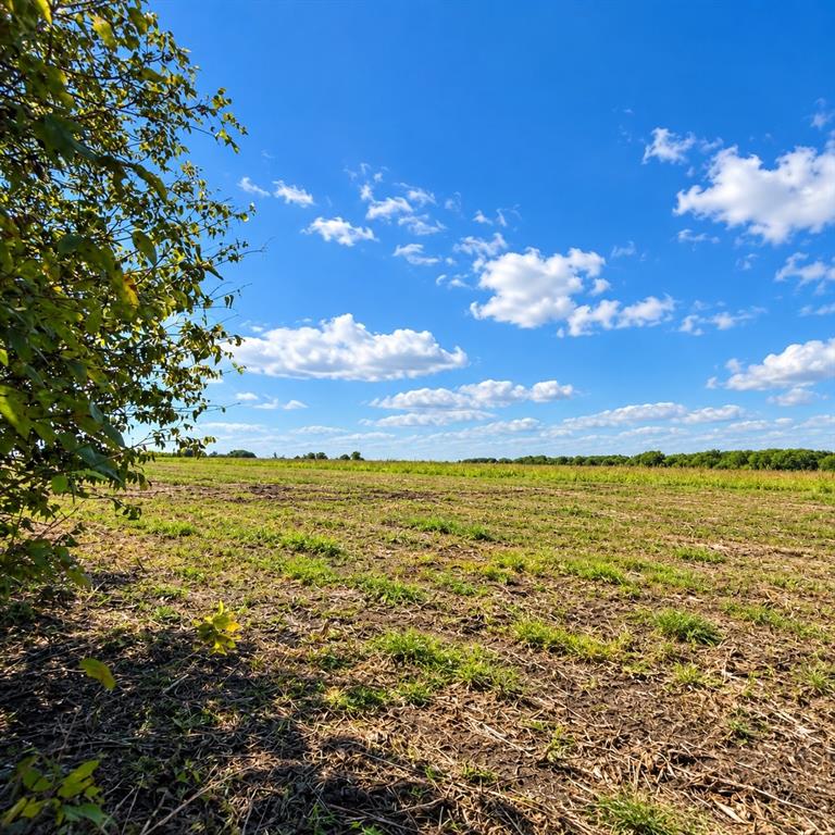 Expansive open acreage featuring cleared level land, mature tree lines, and horizon-spanning sky