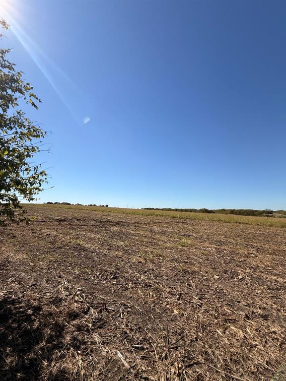 Expansive open lot featuring level topography, cleared terrain, and established mature trees
