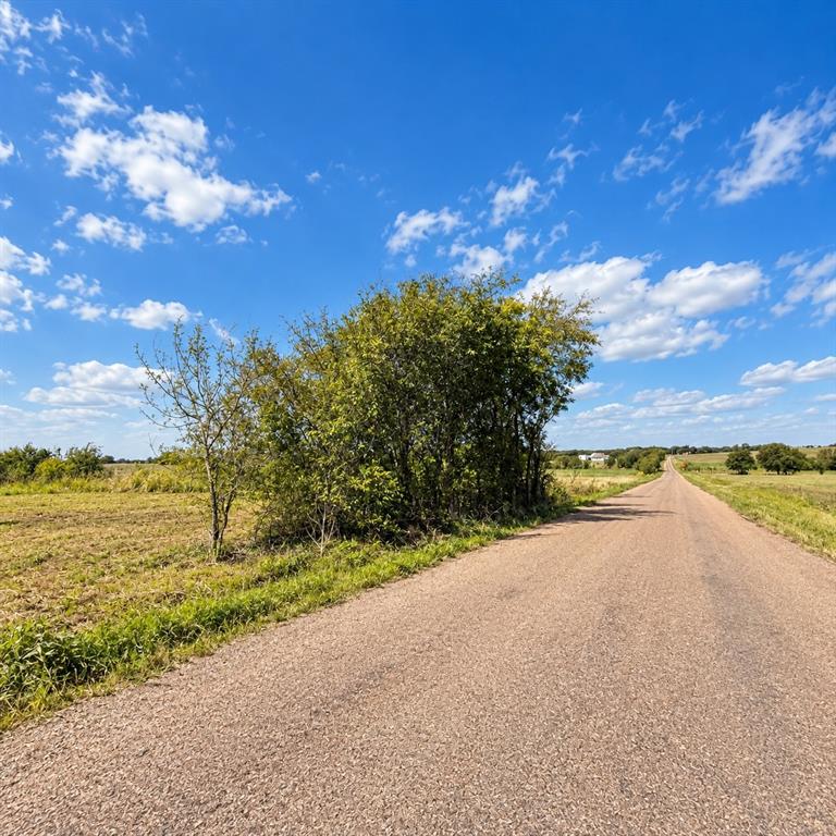 Expansive open acreage featuring native grasses, mature trees, and direct access to an unpaved road