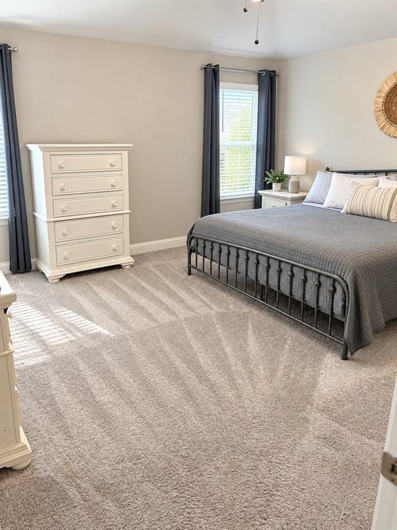 Spacious primary bedroom with plush carpet and windows that bring in natural light.