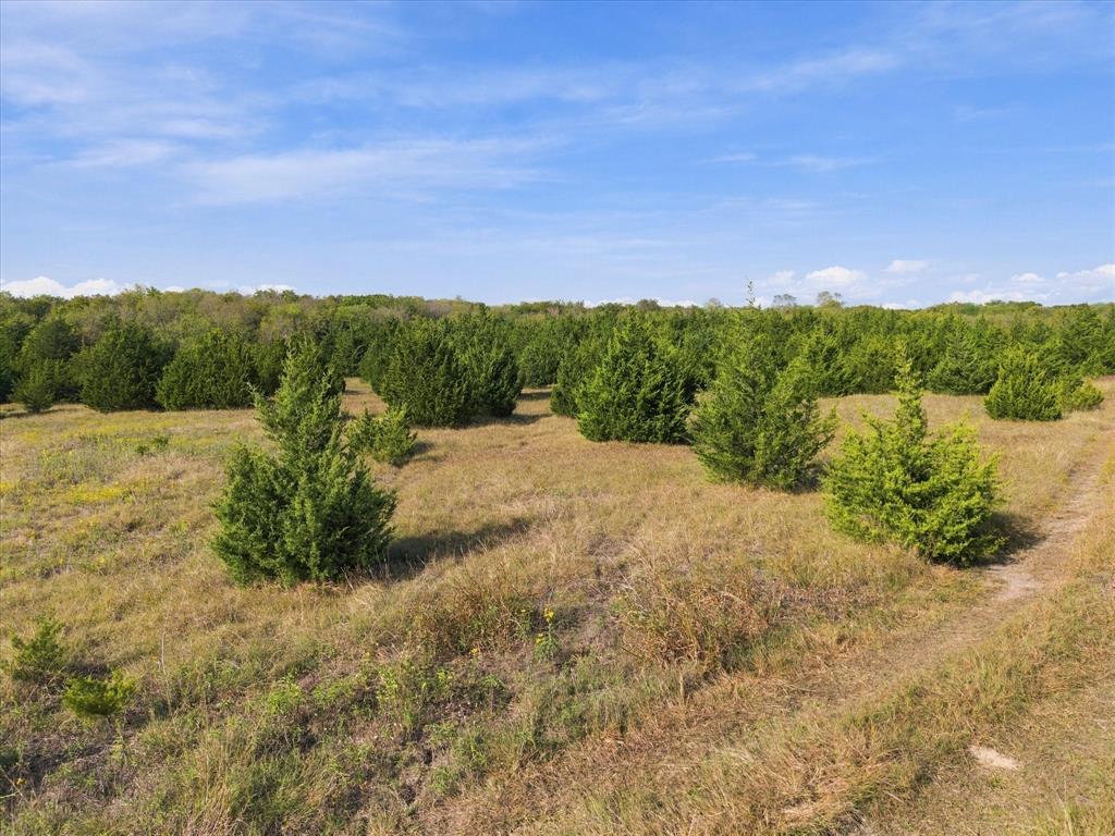 TBD Hightower Lane, Fate, TX 75189