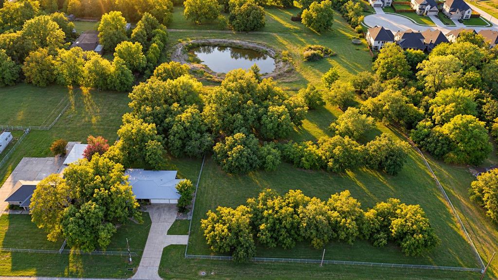 Aerial view showcasing the pond, pecan trees, and surrounding acreage.