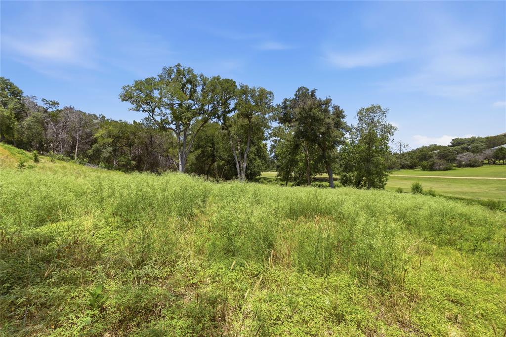 Expansive parcel of land featuring rolling topography, dense clusters of mature trees, and natural grasses