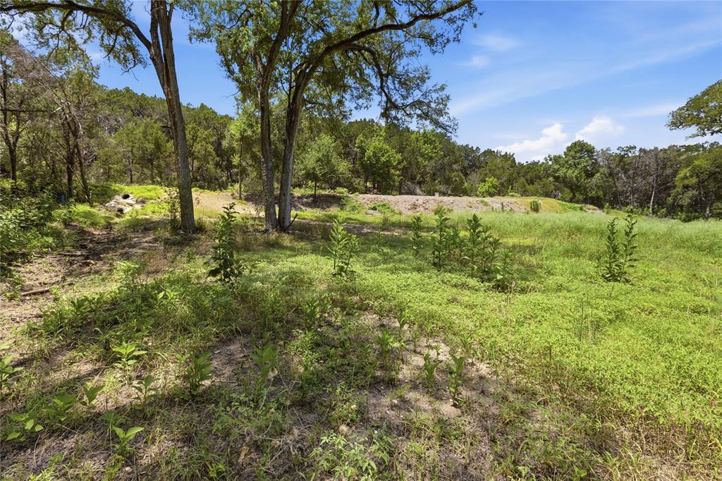 Expansive natural lot featuring mature trees, native vegetation, and varied topography