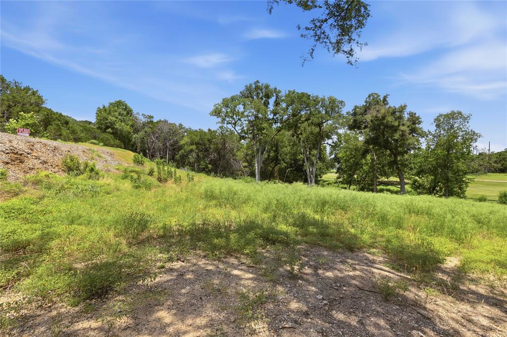 Expansive lot featuring native grasses, mature trees, and natural sloping topography