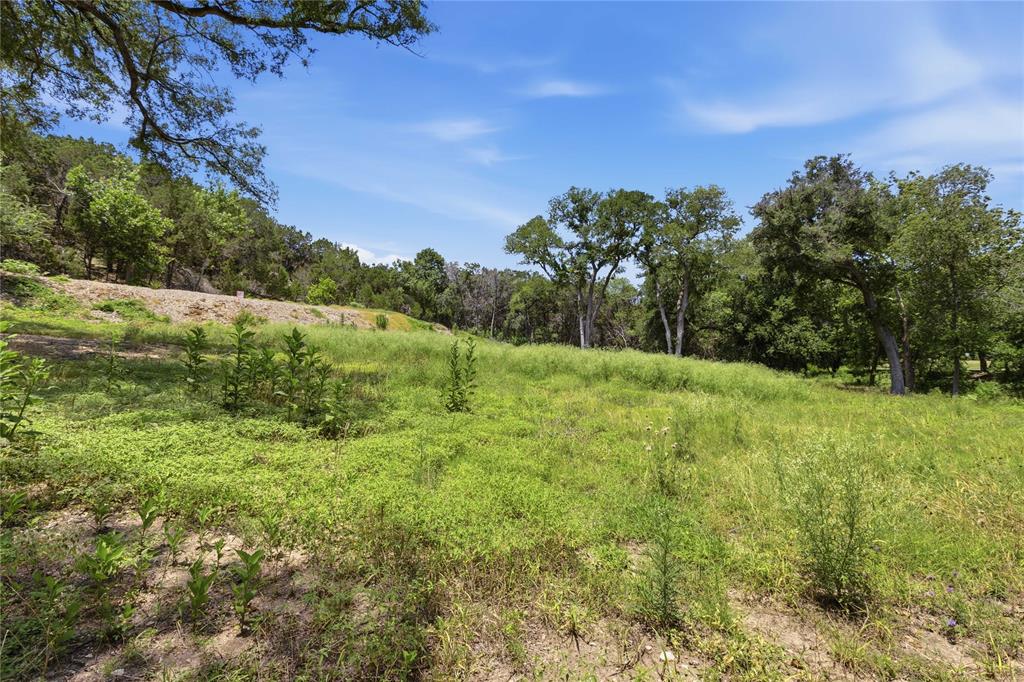 Expansive lot featuring rolling topography, established hardwood trees, and native vegetation