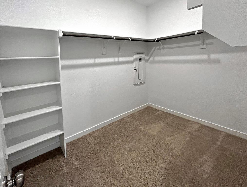 Walk-in storage space featuring built-in shelving, dual-tier hanging rods, and neutral carpeting