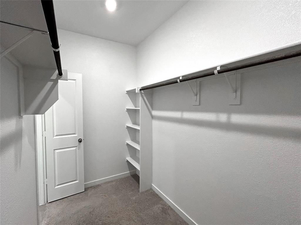 Walk-in closet featuring carpeted flooring, built-in shelving, mounted hanging rods, and a solid-core interior door