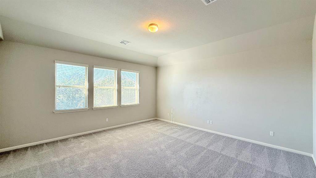 Neutral-toned room featuring a tray ceiling, triple window configuration, and wall-to-wall carpeting