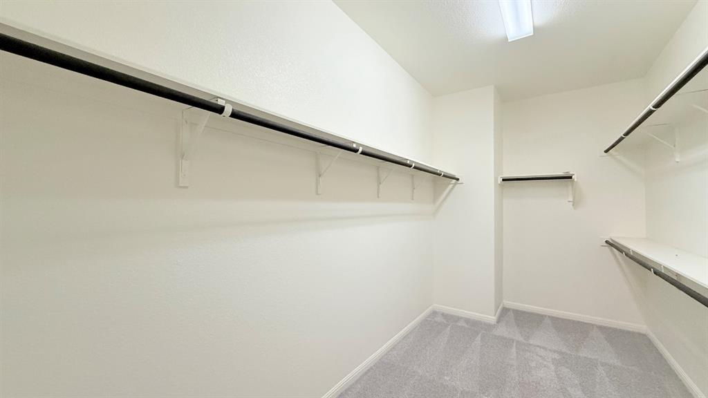 Walk-in storage space featuring neutral carpeting, white walls, tiered shelving, and mounted garment rods