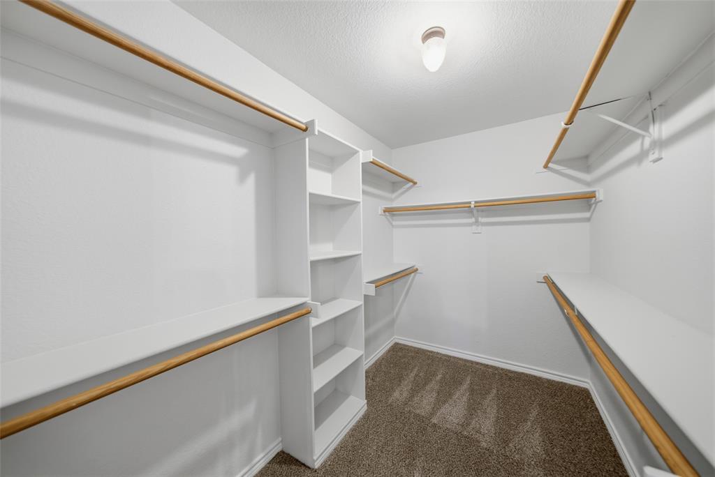 Walk-in closet featuring white built-in shelving, wooden closet rods, and carpeted flooring
