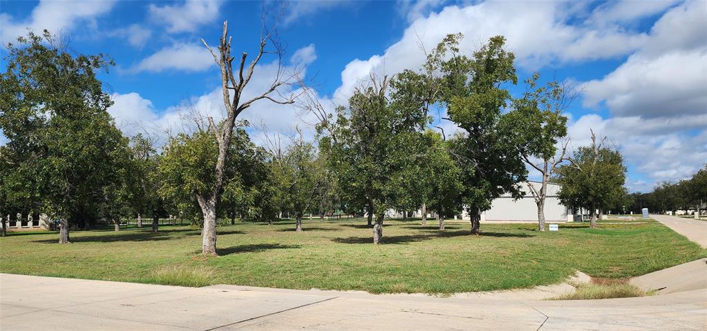 3013 Skyhawk Drive, Granbury, TX 76049