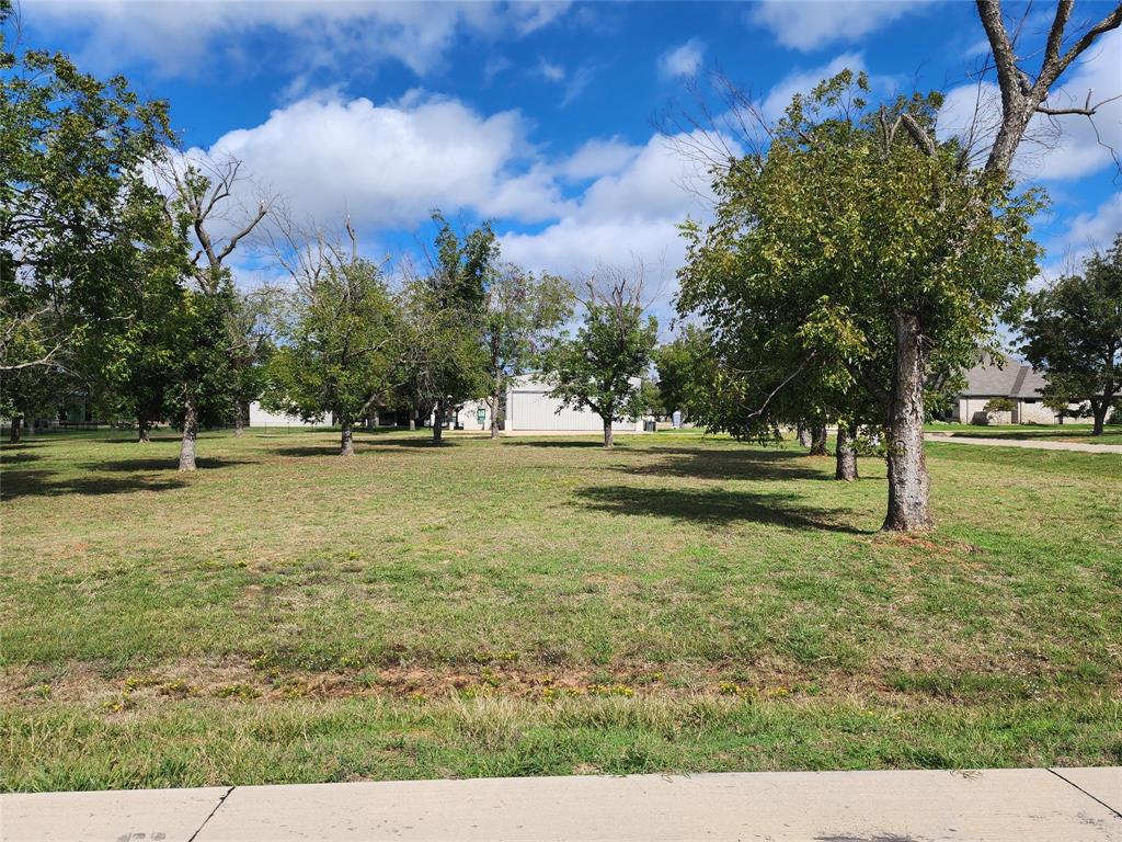 3013 Skyhawk Drive, Granbury, TX 76049