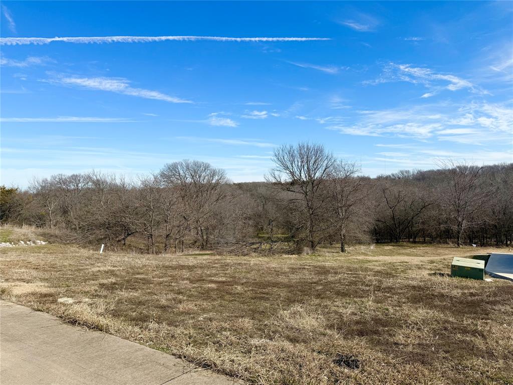 1224 Lilac Lane, Grand Prairie, TX 75104