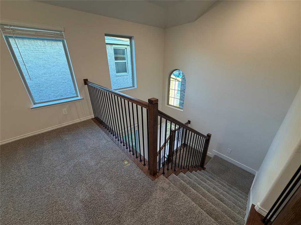 Staircase featuring a dark wood-finish railing with vertical metal balusters, carpeted flooring, multiple rectangular windows, and an arched window