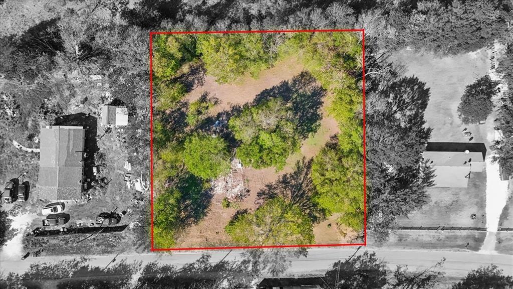 Rectangular parcel of land featuring mature trees and established natural vegetation Rectangular parcel of land featuring mature trees and established natural vegetation