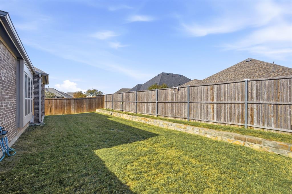 back yard
